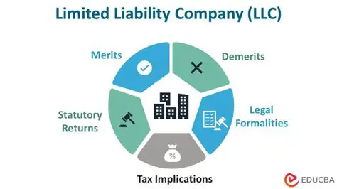 Regulation and Legal Basis for Tax on a Limited Liability Company