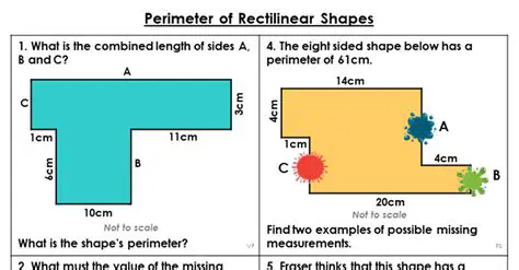 Relationship Between Perimeter and Length