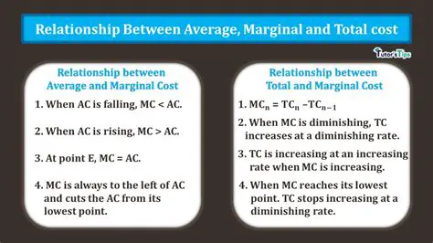 Relationship Between Total Cost and Number of Bagels Purchased