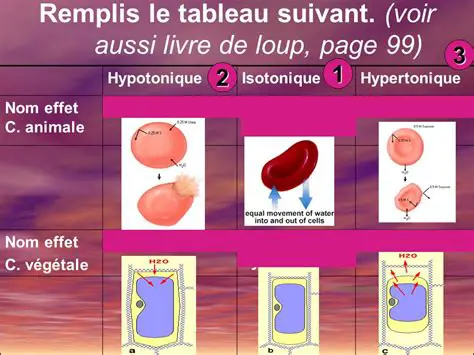 Remplis le tableau suivant