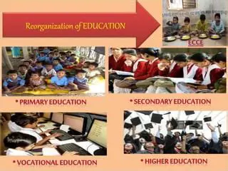 Reorganization of Education