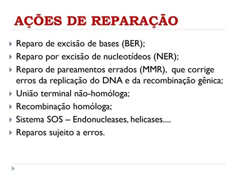 Reparo de DNA por reparo de pontes