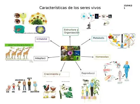 Representaciones de seres vivos