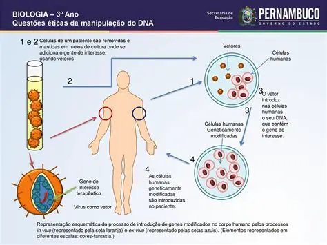 Representar ideias e conceitos de forma mais eficaz