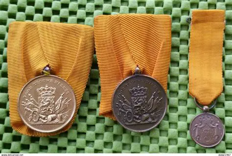 Reservisten in Nederland: Een cruciale rol in de defensie