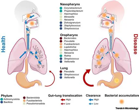 respiratory tract microbiome