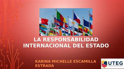 Responsabilidad Internacional