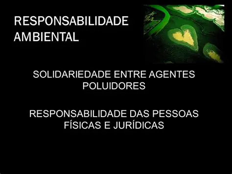 Responsabilidade Ambiental dos Poluidores