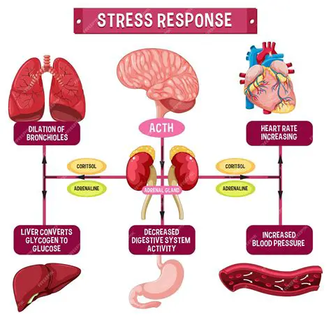 Respuesta a la actividad 1