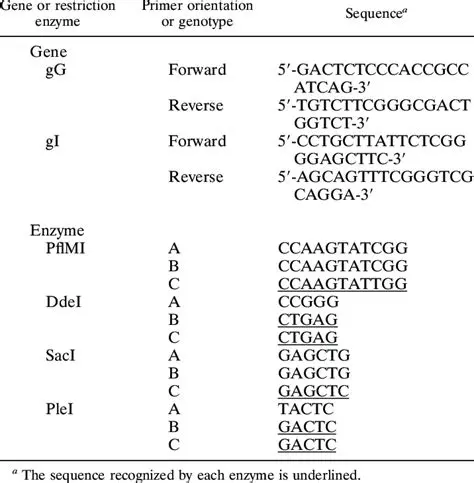 Restriction Enzymes and Their Recognition Sites