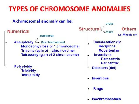 Revealing Numerical Anomalies