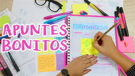 Revisar tus notas y apuntes