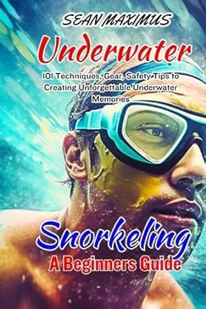 Reviving Underwater Memories