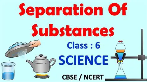 Roles of Substances in the Equation