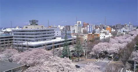 相模原市：進化し続ける都市の魅力と最新情報