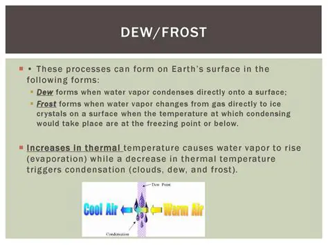 Save Changes Directly to the Fish