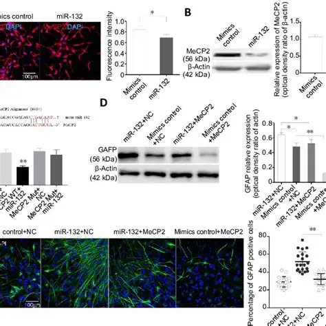 Scale of the Extracted MIR