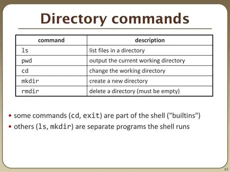 Scheduling programs and commands
