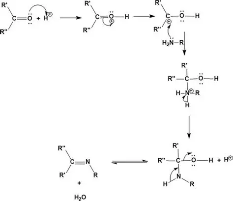 Schiff Base Synthesis from Furfural and Phenylhydrazine