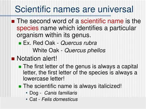 Scientific Names Explained