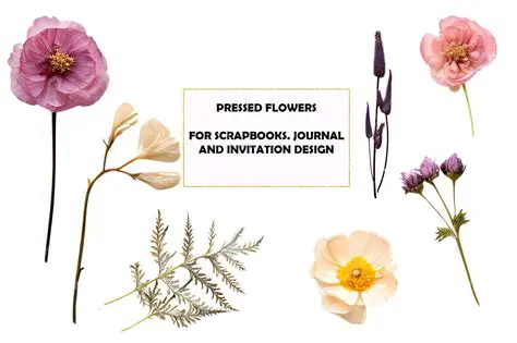 Scrapbooking and image editing