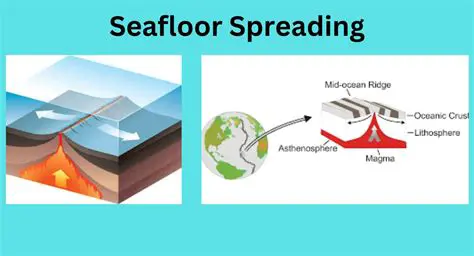 Seafloor Spreading and Convection Currents