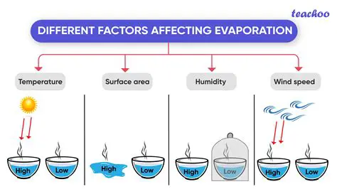 Search by Direct Evaporation