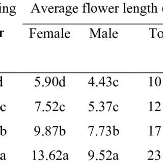 Seed tuber weight has a significant effect on several parameters