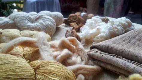 Sejarah Pengembangan Ulat Sutra