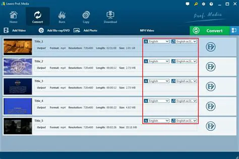 Select audio tracks and subtitles