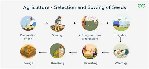 Selection of suitable plants