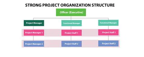 Setting Up the Project Structure