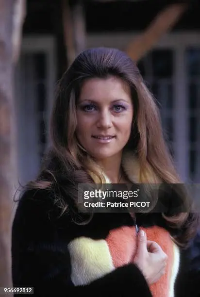 Sheila Chanteuse : Icône de la Pop Française et Son Parcours Musical Inoubliable
