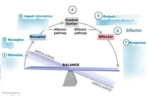 Signals are sent to the control centers