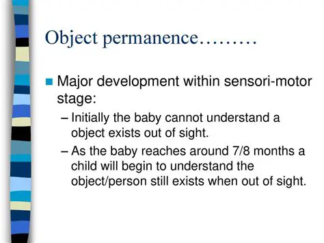Significance of Object Permanence