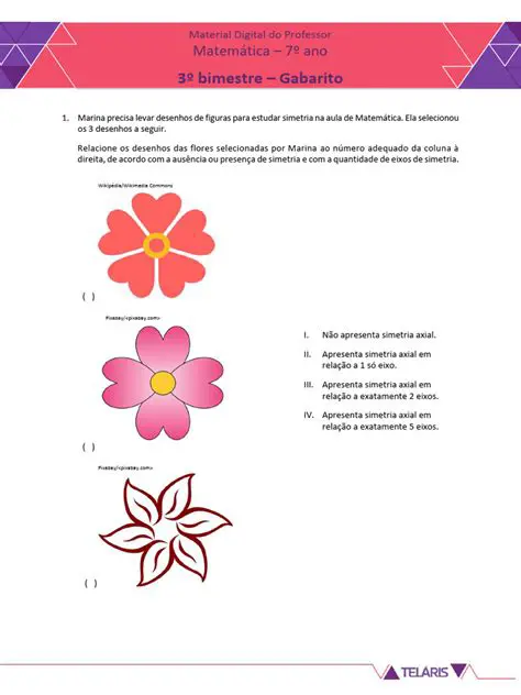 Simetria e Proporcionalidade