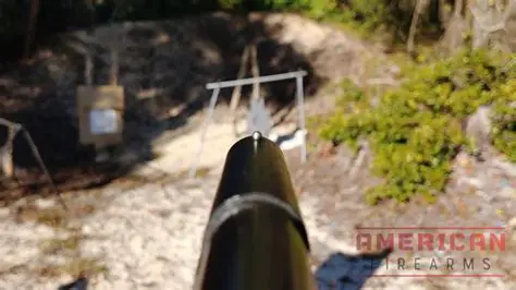 Simulation of Accurate Shooting