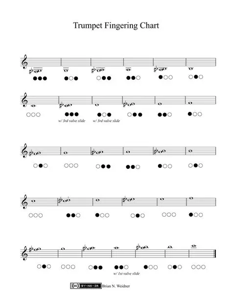 Simulation of Trumpet Fingering