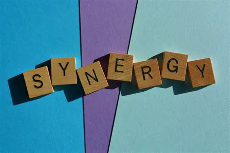 Sinergia entre Colaboradores
