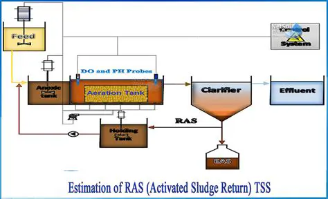 Sludge Return and Internal Recirculation Streams