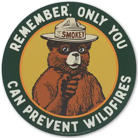Smokey Bear Cartoon: The Enduring Legacy of a Fire Safety Icon