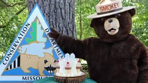 Protect Your Essentials: Unveiling the Smokey Bear Wallet – A Symbol of Conservation