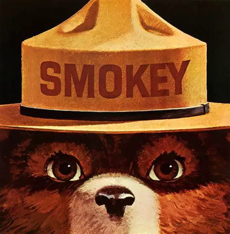 Smokey Bear: An Enduring Symbol of Wildfire Prevention