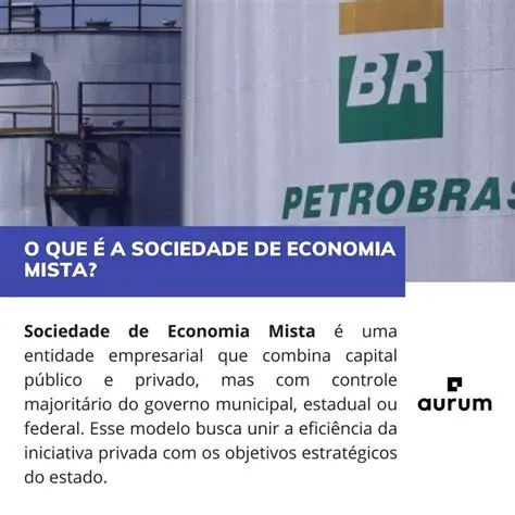 Sociedade de economia mista