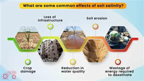 Soil Salinity and Its Effects on Plant Growth and Productivity