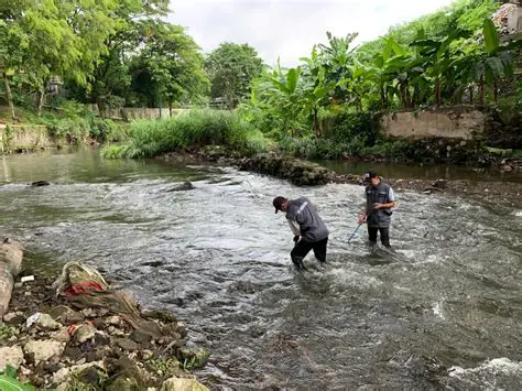Solusi untuk Mengatasi Penurunan Kualitas Air Sungai