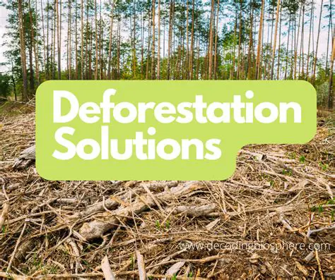 Solutions to Deforestation