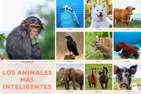 Son animales muy inteligentes
