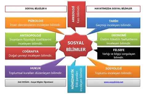 Sosyal Bilimler ve Toplumda Haklar ve Sorumluluklar
