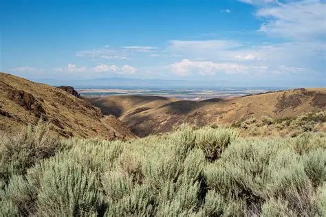 Is Southeast Idaho a Desert? Unveiling the Arid Truth of This Unique Landscape